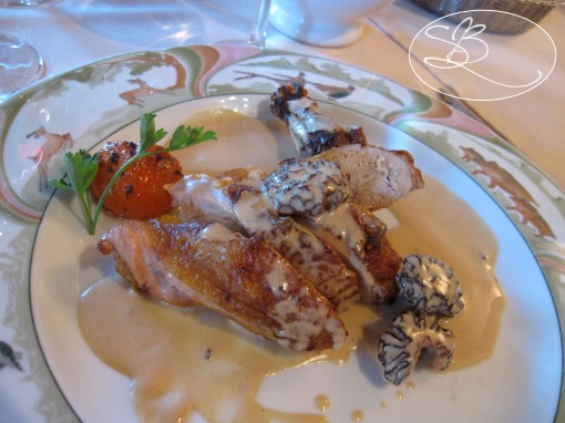 Chicken with morel mushrooms in a cream sauce